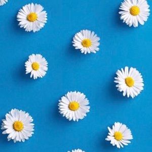 Meet your Posher, Yareli